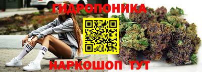 индика Белорецк