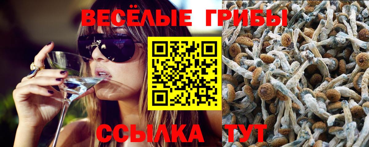 Псилоцибиновые грибы мицелий  купить наркотики цена  Волоколамск  Вход с VPN  Псилоцибиновые грибы прущие грибы 